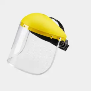 Visor